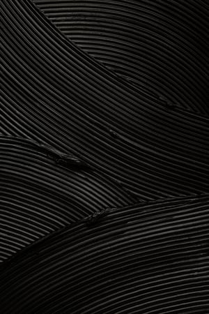 AdobeStock_429856586