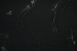 shutterstock_1980226982